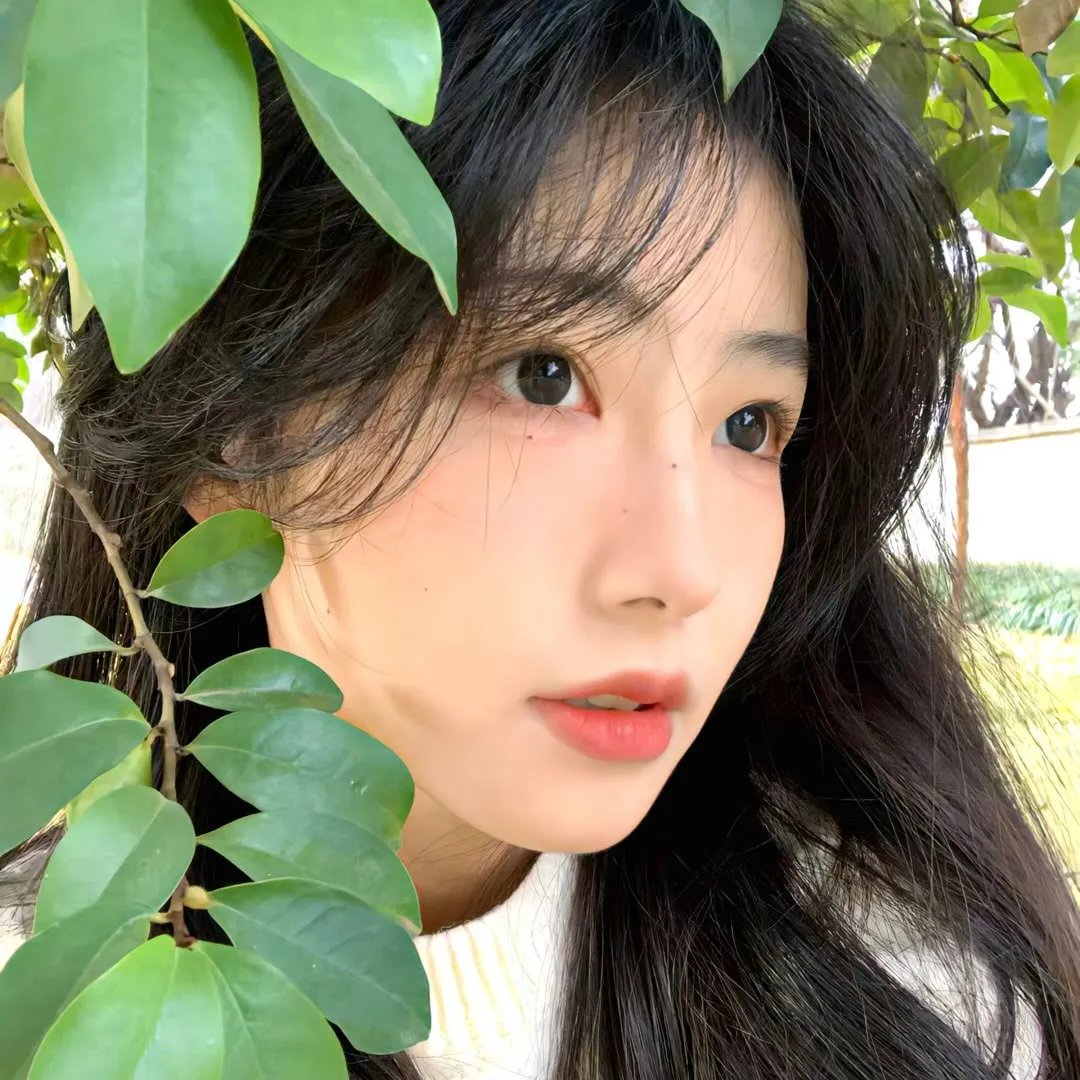 劲舞飞扬